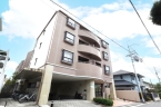 芦屋市呉川町 中古マンション外観写真